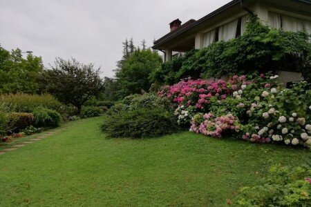 Appartamento 1 camera, con idromassaggio