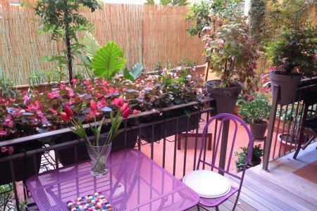 Appartement 1 chambre, avec salle de sport