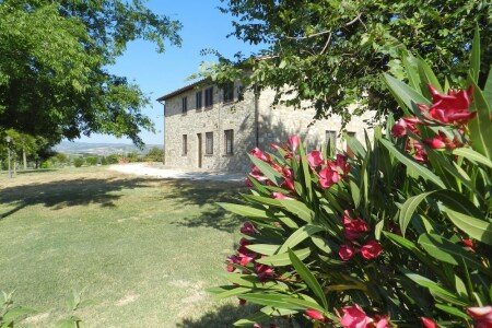 Bed and breakfast 1 camera, con piscina