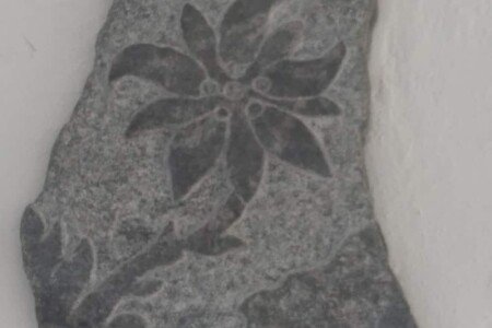 Appartamento 2 camere, con giardino