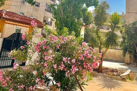 House 4 bedrooms, with garden