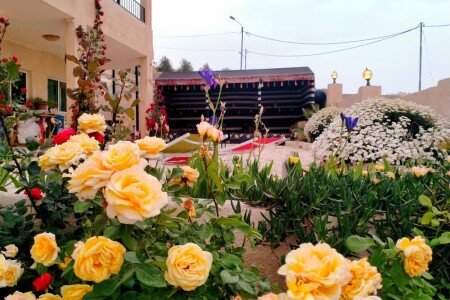 Gîte 1 chambre, avec climatisation