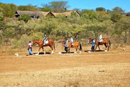 Villa 4 bedrooms, with pool