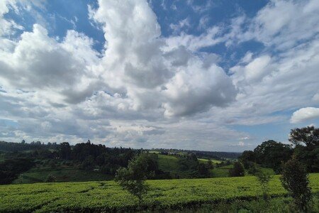 Bed and breakfast 4 camere, con wifi