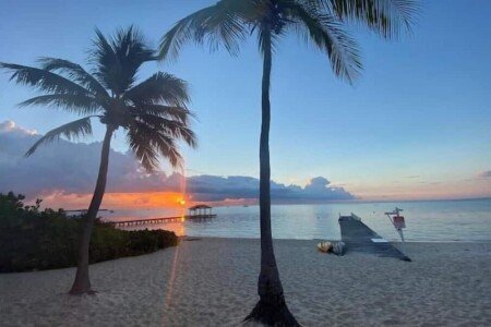 Apartment 3 bedrooms, with air conditioning