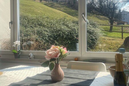 Gîte 1 chambre, avec jardin