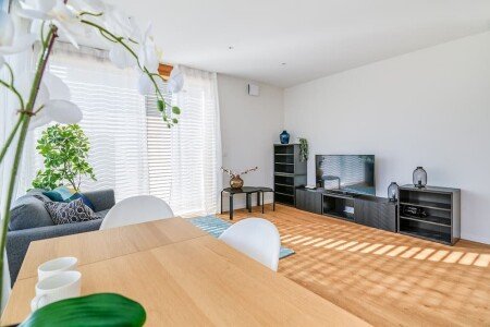 Appartement 1 chambre, avec wifi