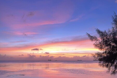 Apartment 3 guests, with air conditioning