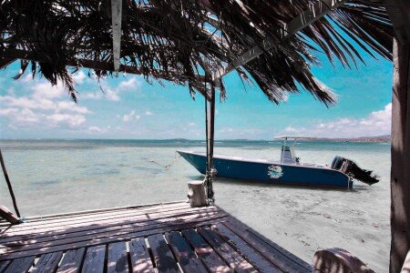 Casa 2 camere, con giardino