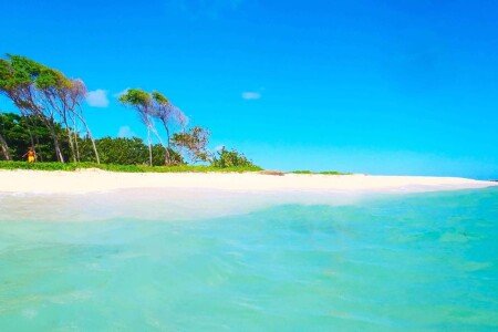 Maison 3 chambres, avec piscine