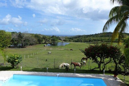 Gîte 1 chambre, avec piscine