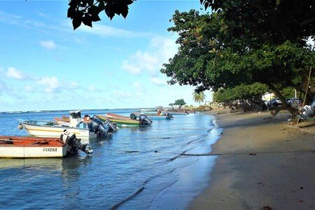Auberge de jeunesse design, 1 chambre, avec petit-déjeuner