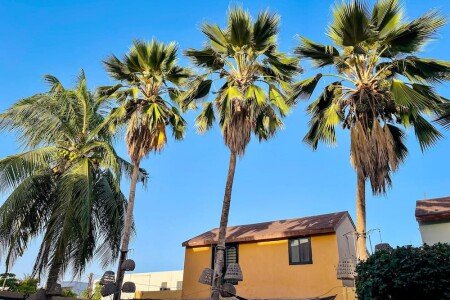 Apartment 2 guests, with gym