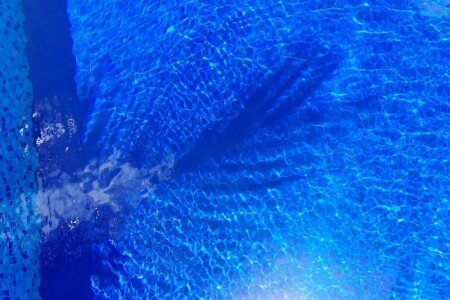 Gîte 3 chambres, avec piscine