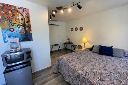 Apartamento 1 habitación, con aire acondicionado