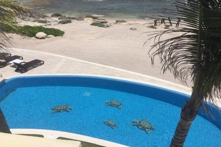 Villa design, 1 chambre, avec piscine