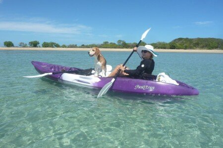 Gîte cozy, 1 chambre, avec salle de sport