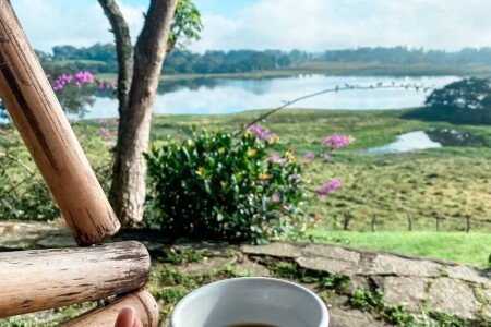 Bed and breakfast 9 camere