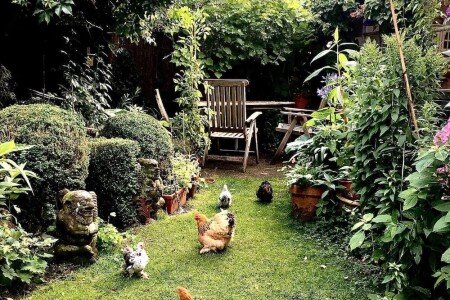 Maison cozy, 2 chambres, avec jardin