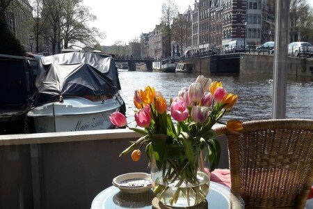 Boat 1 bedroom, with pool