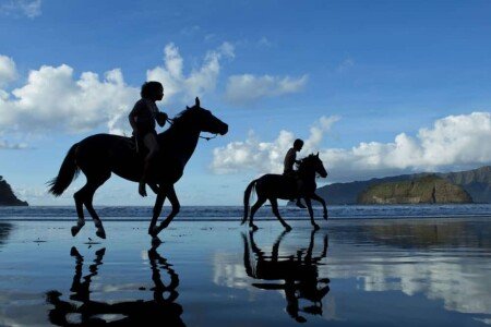 Studio 2 voyageurs, avec climatisation