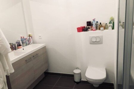 T2 1 chambre, avec jardin