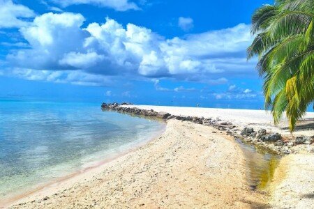 Gîte 1 chambre, avec jardin