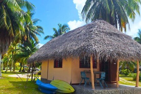 Bed and breakfast design, 1 chambre, avec jardin