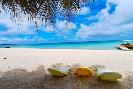 Bed and breakfast design, 1 chambre, avec piscine