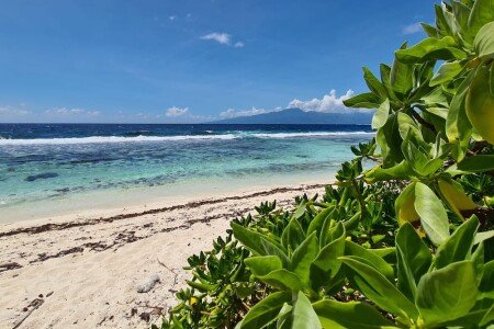 Maison de charme, 3 chambres, avec jardin
