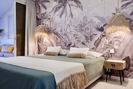 Appartement de charme, 1 chambre, avec jardin