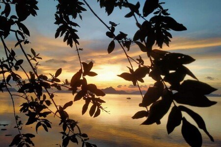 Gîte 1 chambre, avec climatisation