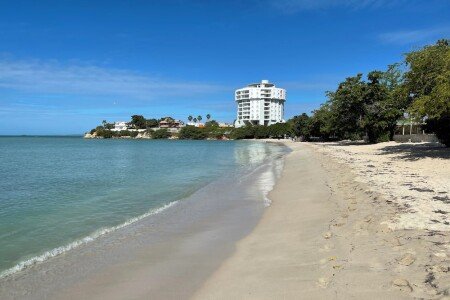 Apartamento 1 habitación, con jardín