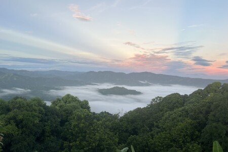 House 5 bedrooms, with garden