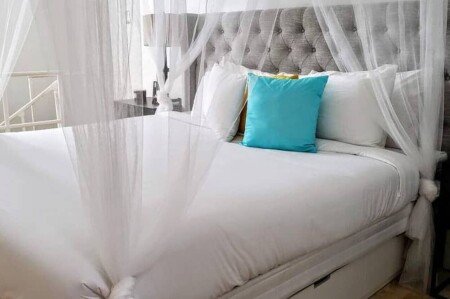 Apartamento 1 habitación, con jardín