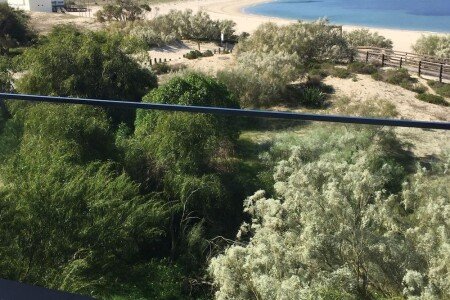 T2 2 chambres, avec piscine