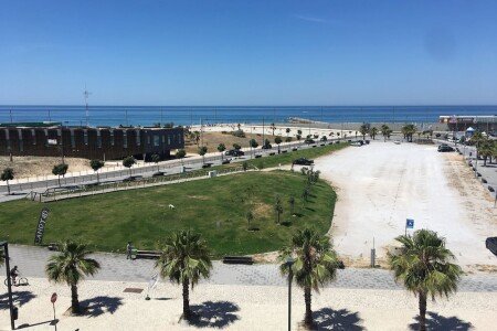 Appartamento 1 camera, con giardino