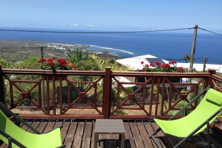 Appartement 1 chambre, avec jardin