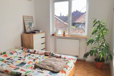 Apartment 1 bedroom, with garden