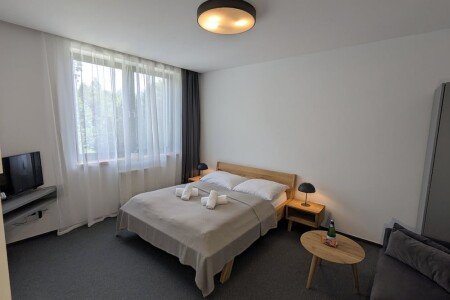 Apartment 1 bedroom, with garden