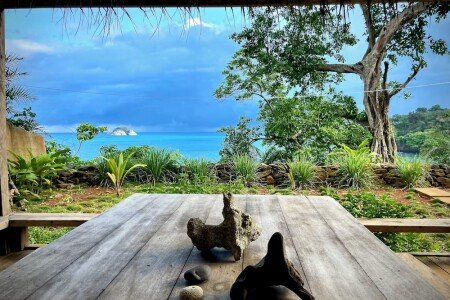 Villa design, 3 chambres, avec jardin