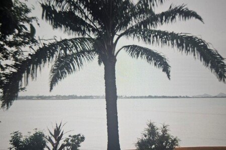 House 2 bedrooms, with garden