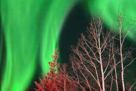 House 5 bedrooms, with jacuzzi