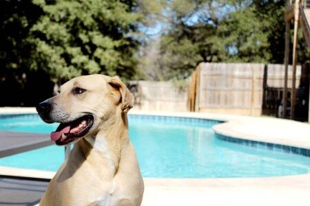 House 4 bedrooms, with jacuzzi