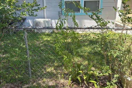 Bed and breakfast 1 bedroom, with pool