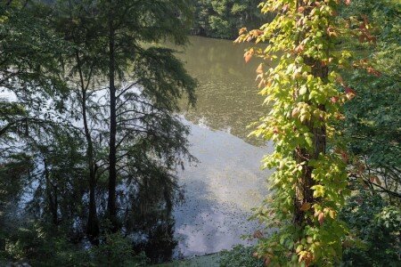 Apartment 3 bedrooms, with air conditioning