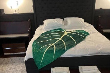 Castle 9 bedrooms, with jacuzzi