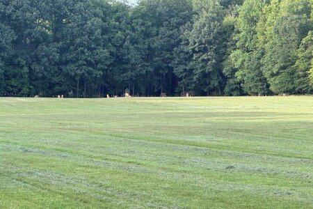 Bed and breakfast 2 bedrooms, with air conditioning