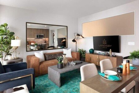 Apartment 1 bedroom, with jacuzzi