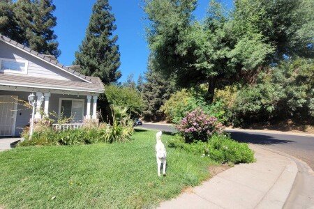 House 3 bedrooms, with jacuzzi